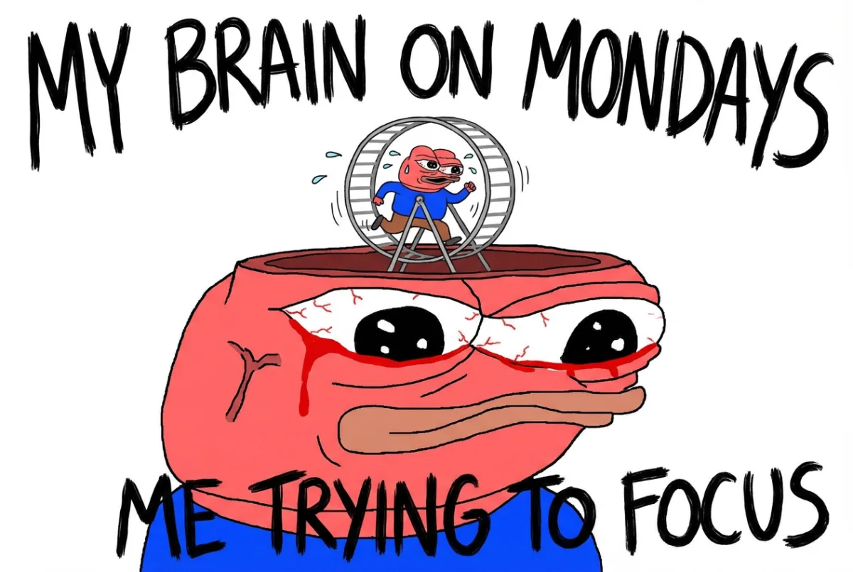 Rapu trying to focus while running on a wheel
